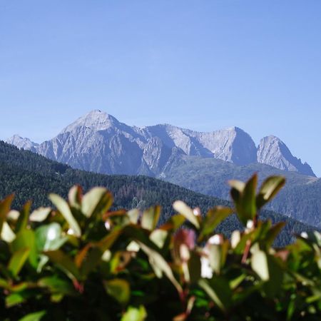 Villa Luzzago Ponte Di Legno Εξωτερικό φωτογραφία